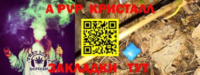 spice Кунгур